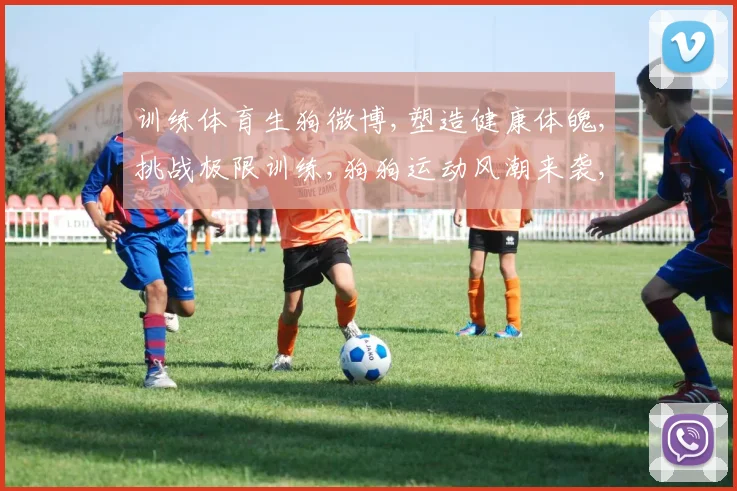 训练体育生狗微博,塑造健康体魄,挑战极限训练,狗狗运动风潮来袭,