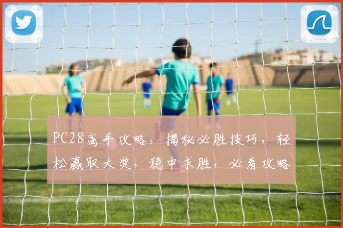 PC28高手攻略，揭秘必胜技巧，轻松赢取大奖，稳中求胜，必看攻略